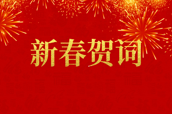 Shandong Heavy Industry Group 2025 New Year Message